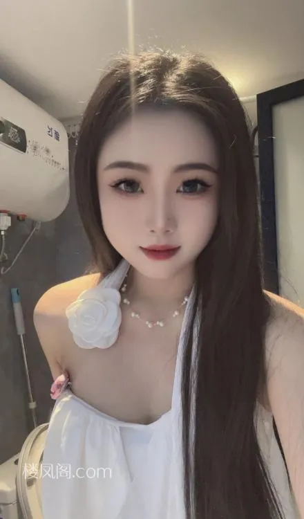 全国免费楼凤资源