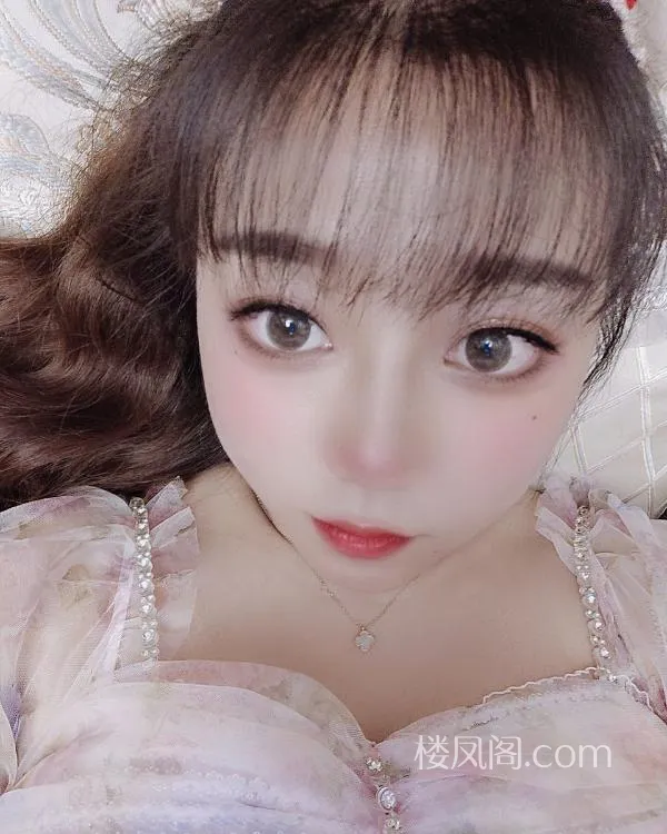 全国免费楼凤资源