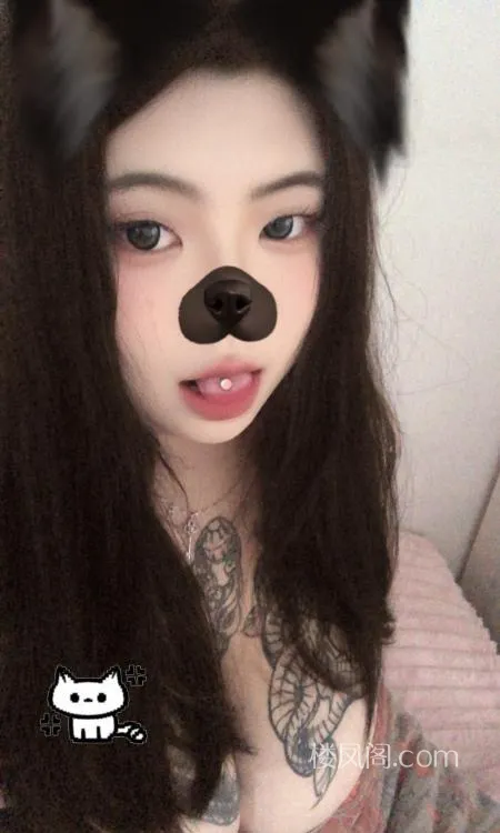 全国免费楼凤资源