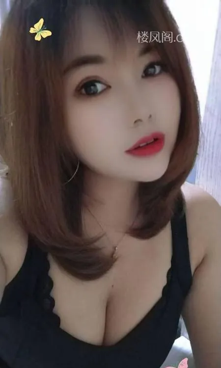 全国免费楼凤资源