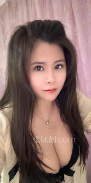 全国免费楼凤资源