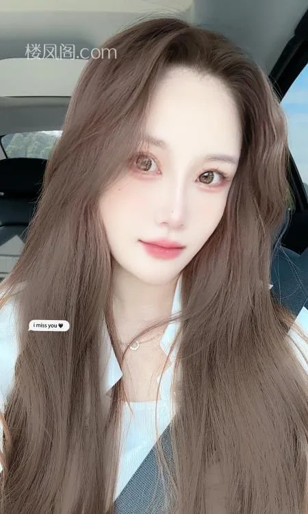 全国免费楼凤资源