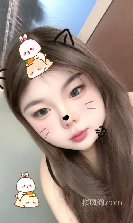 全国免费楼凤资源