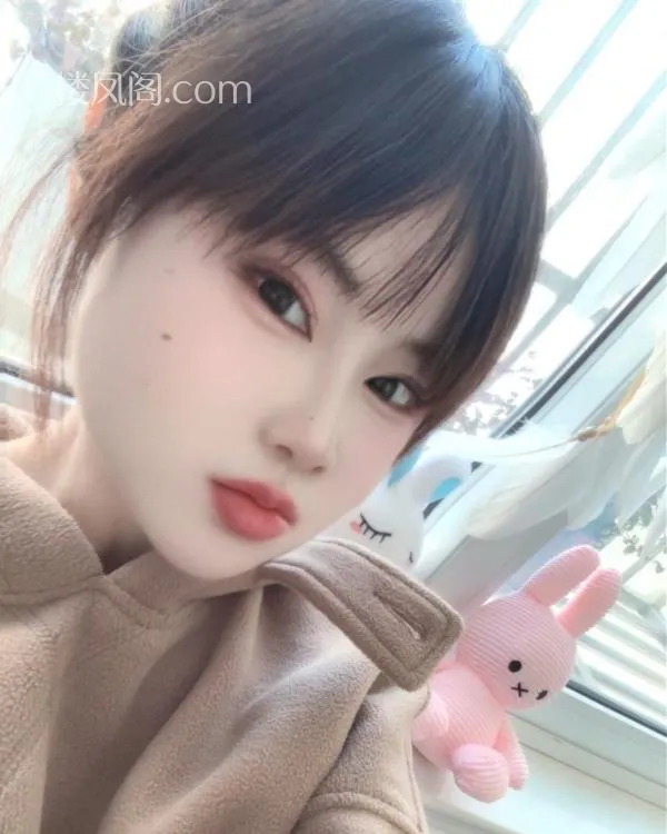 全国免费楼凤资源