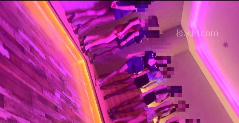 全国免费楼凤资源