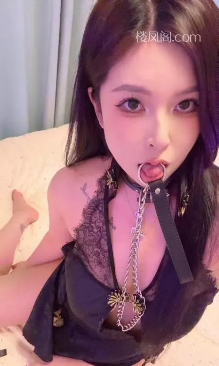 全国免费楼凤资源