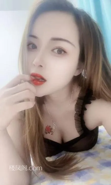 全国免费楼凤资源