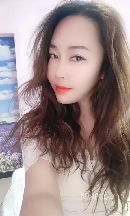 全国免费楼凤资源