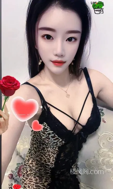 全国免费楼凤资源