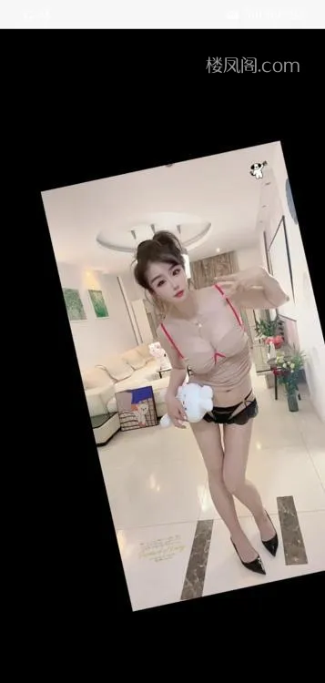 全国免费楼凤资源