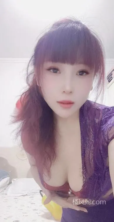 全国免费楼凤资源