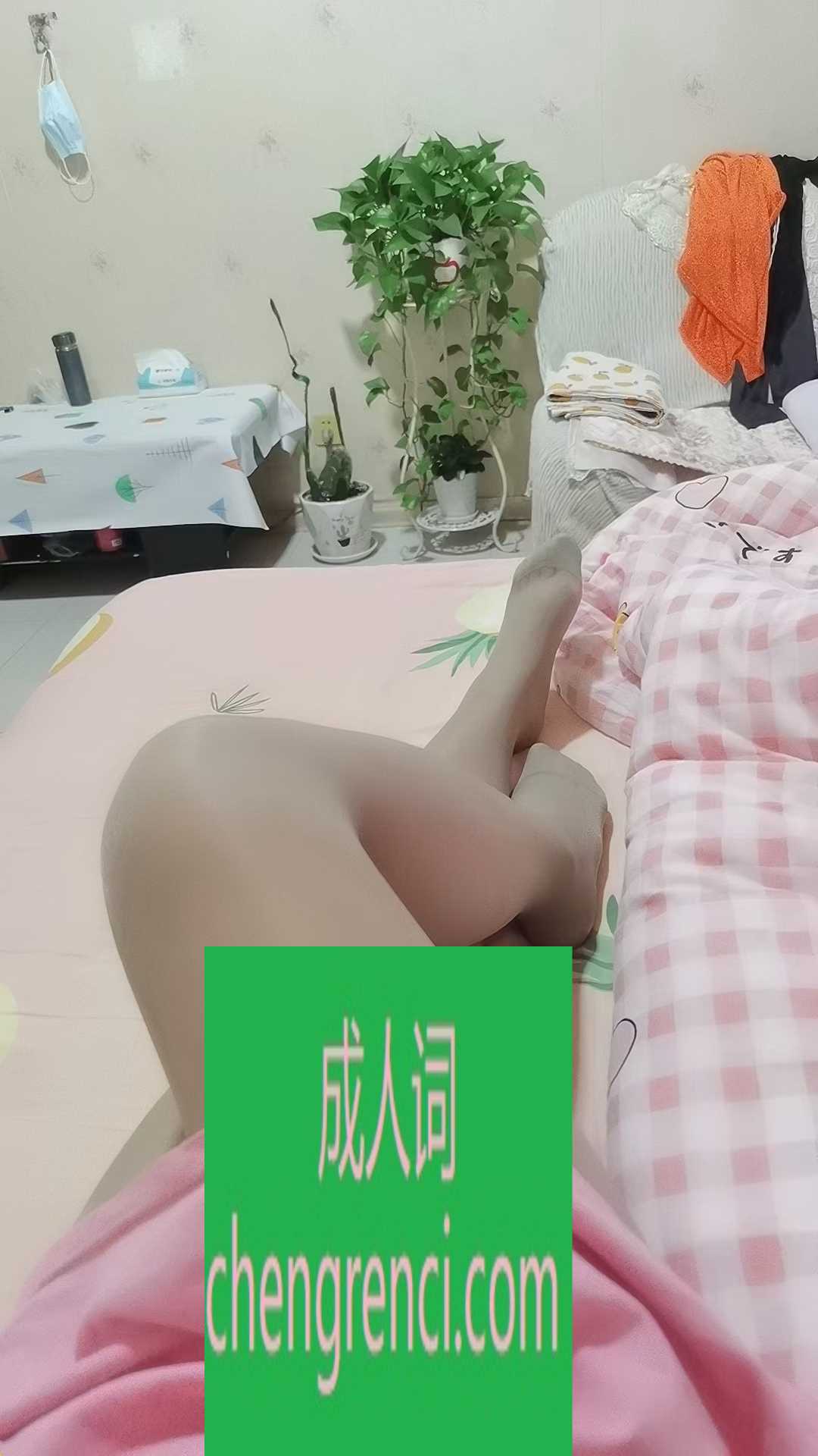 全国免费楼凤资源