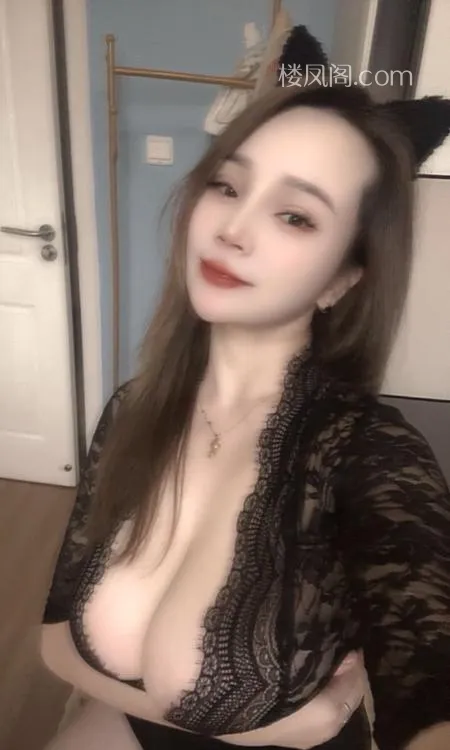 全国免费楼凤资源