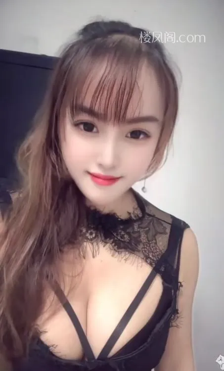 全国免费楼凤资源