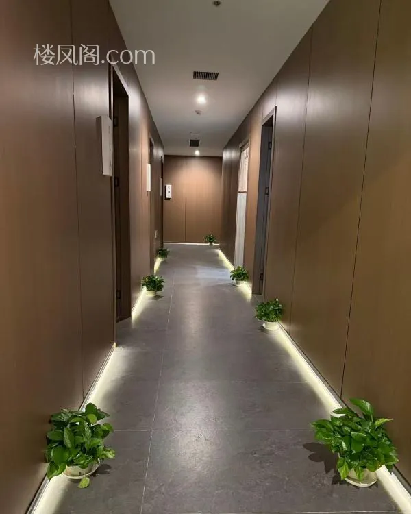 全国免费楼凤资源