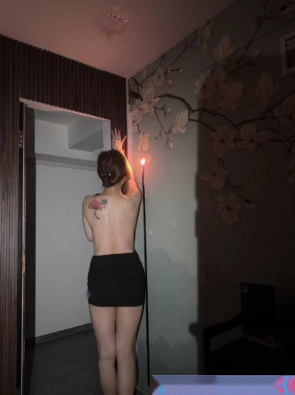 全国免费楼凤资源