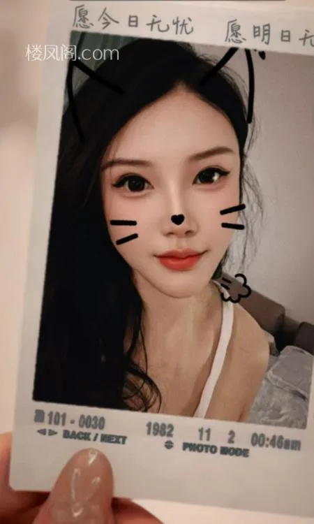 全国免费楼凤资源