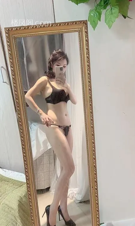 全国免费楼凤资源