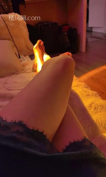 全国免费楼凤资源