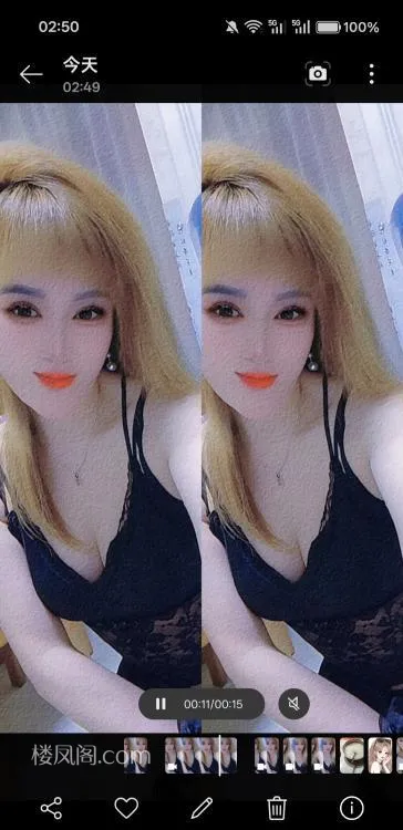 全国免费楼凤资源