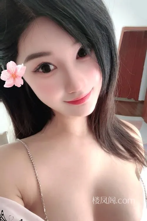 全国免费楼凤资源