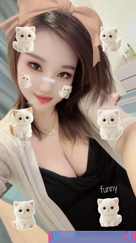 全国免费楼凤资源