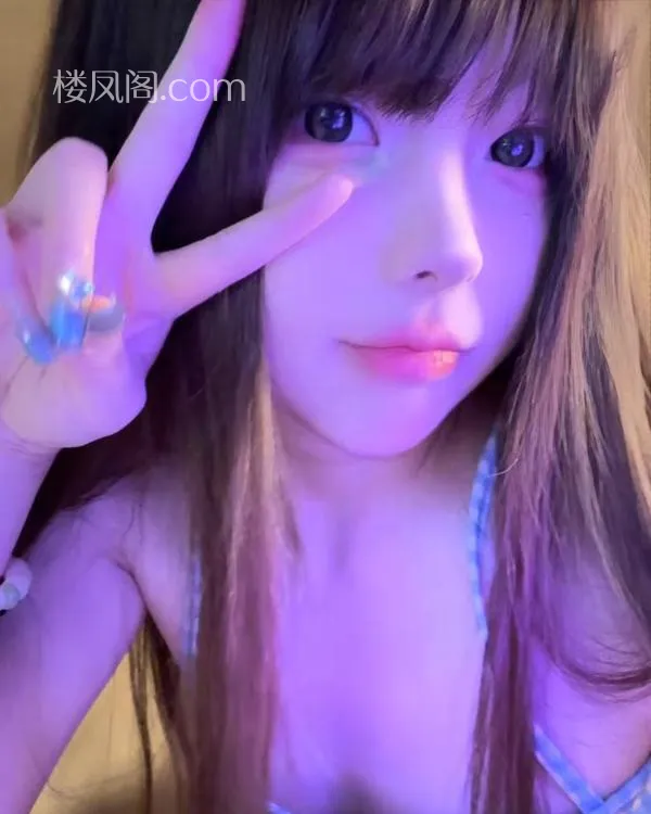 全国免费楼凤资源