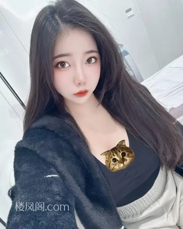 全国免费楼凤资源