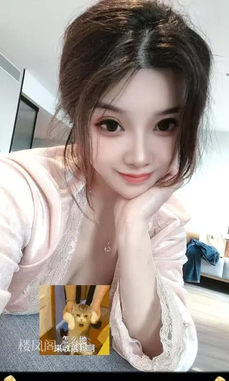 全国免费楼凤资源