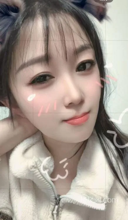 全国免费楼凤资源