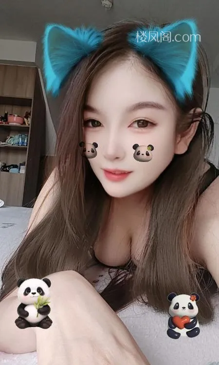 全国免费楼凤资源