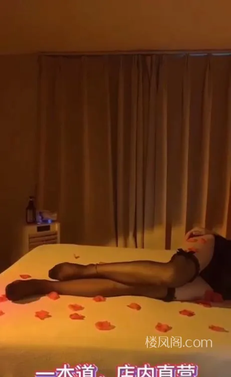 全国免费楼凤资源