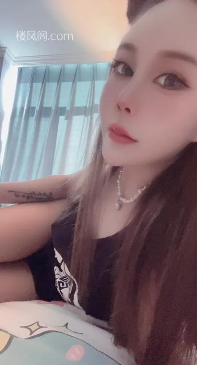 全国免费楼凤资源