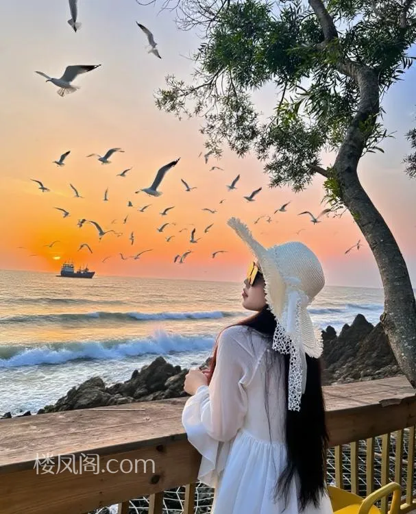 全国免费楼凤资源