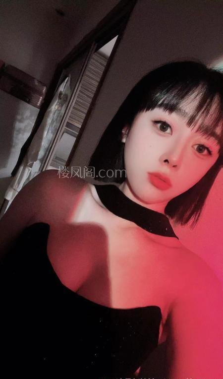 全国免费楼凤资源