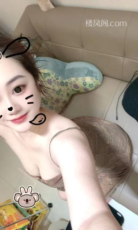 全国免费楼凤资源