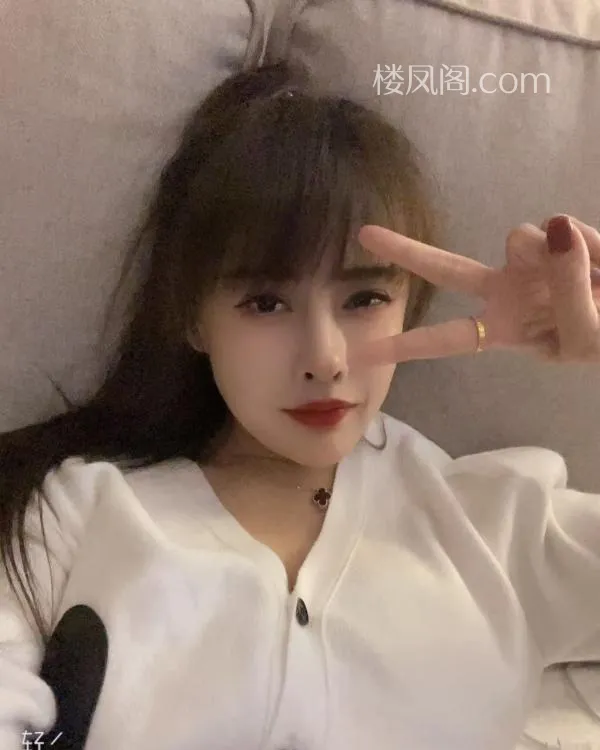 全国免费楼凤资源