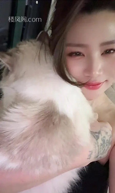 全国免费楼凤资源