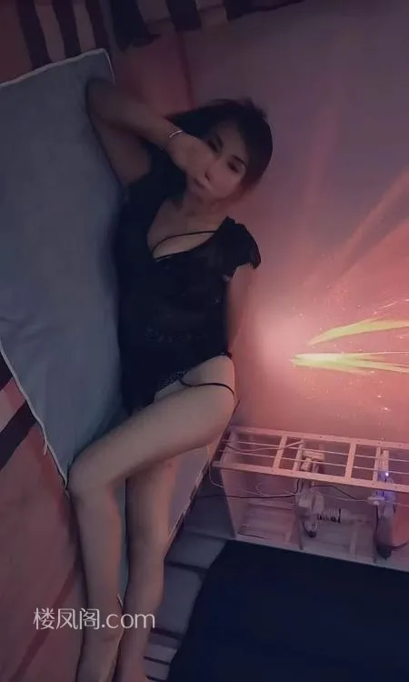 全国免费楼凤资源