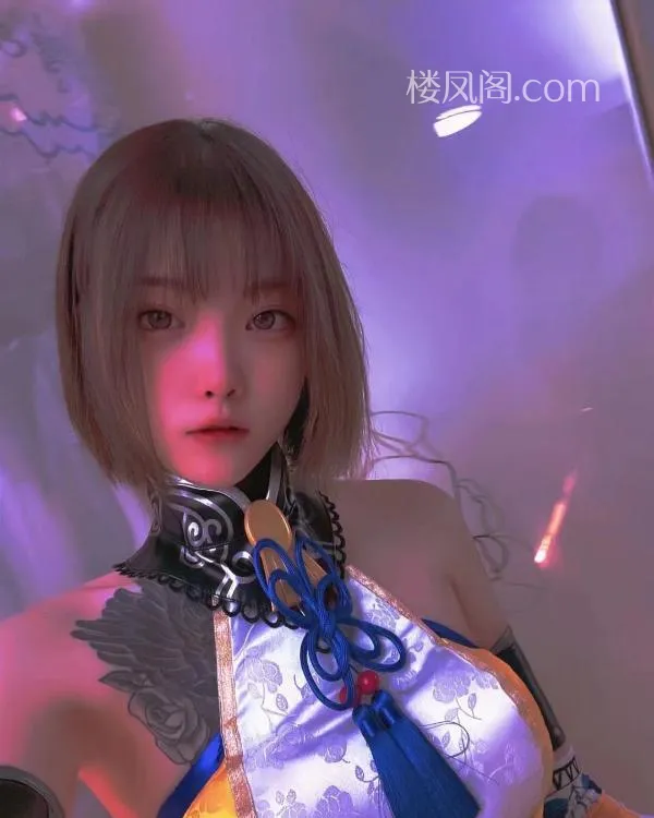 全国免费楼凤资源