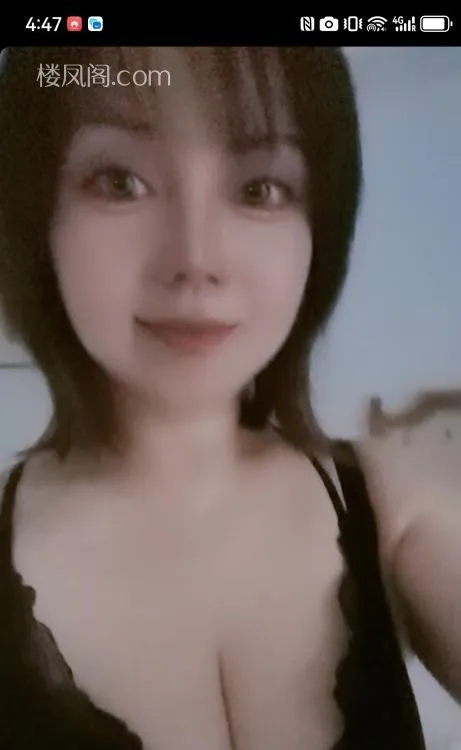 全国免费楼凤资源