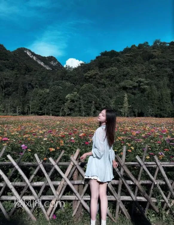 全国免费楼凤资源