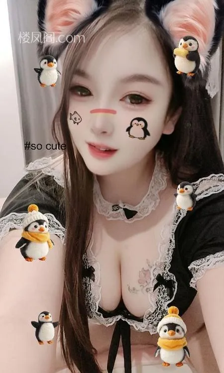 全国免费楼凤资源