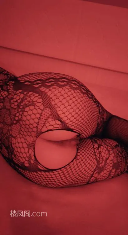 全国免费楼凤资源