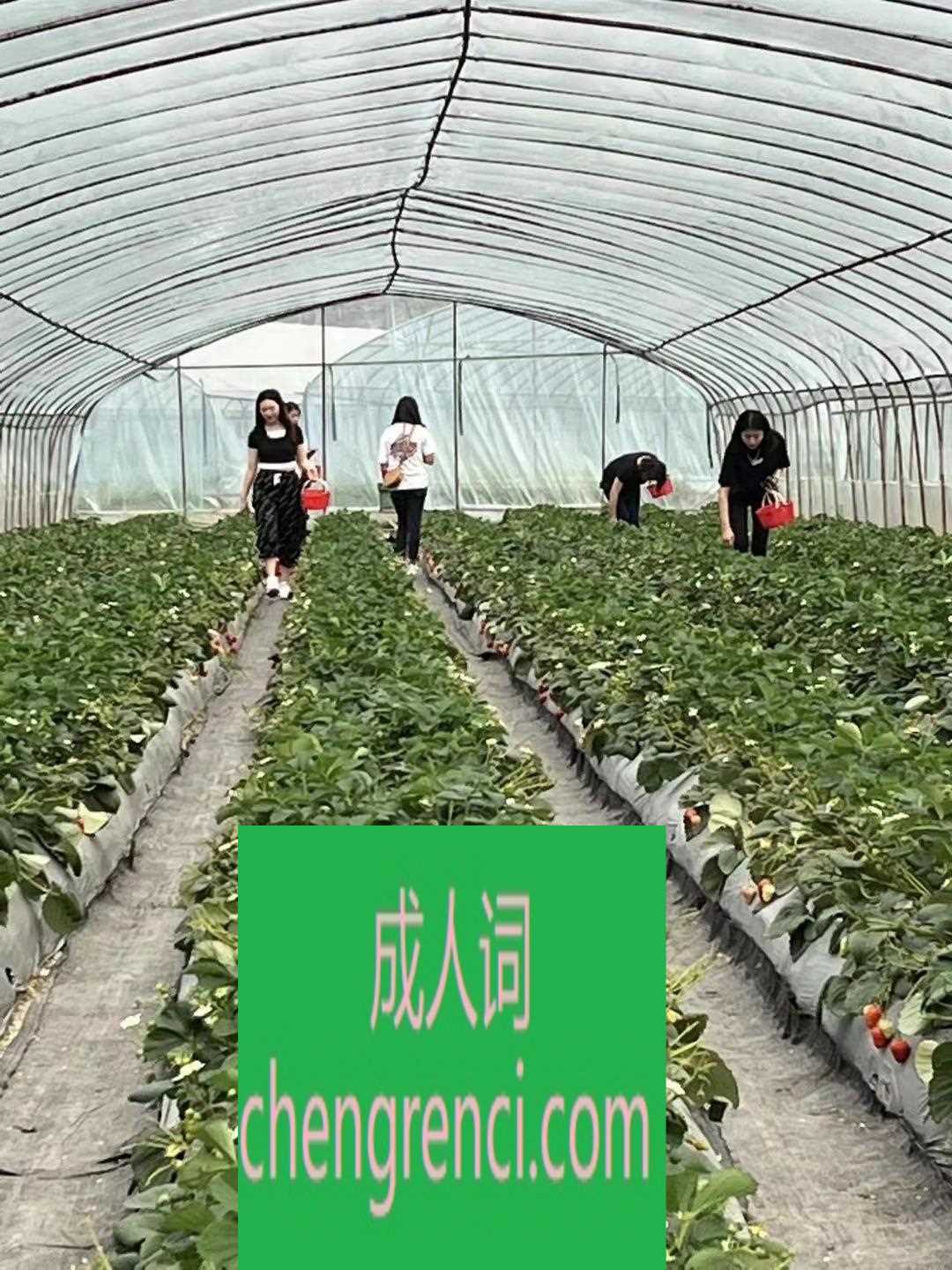 渝北 服务项目： 全套服务 真实本人照片 - 成人词资源网