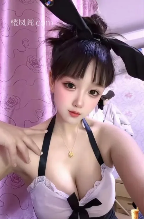 全国免费楼凤资源