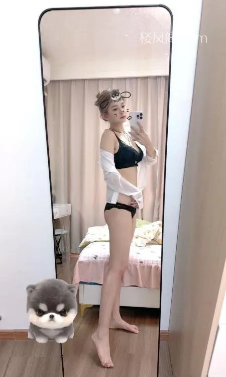 全国免费楼凤资源