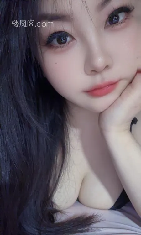 全国免费楼凤资源