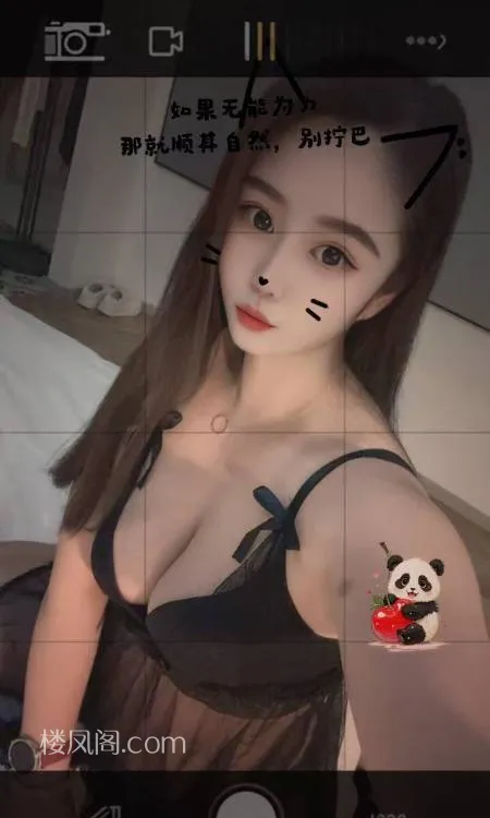 全国免费楼凤资源