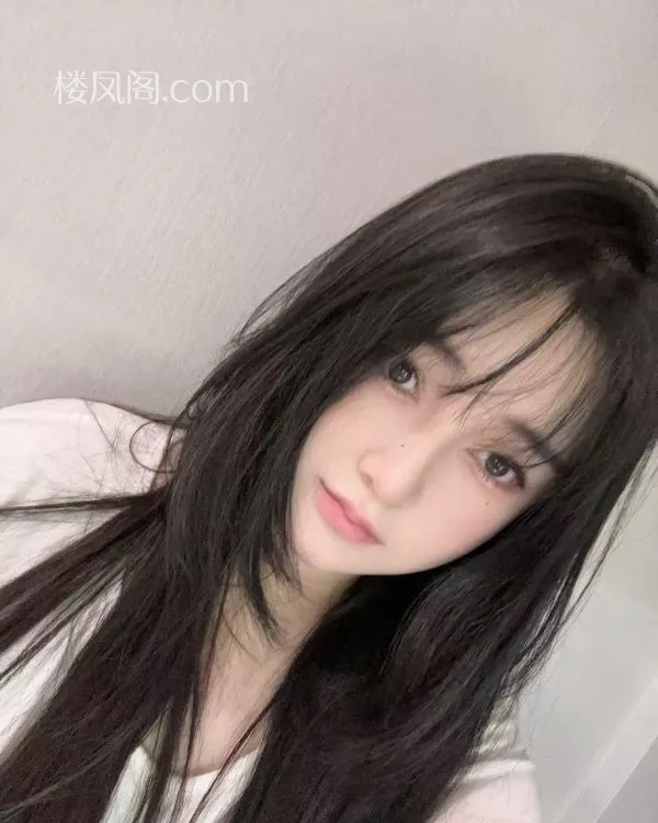 全国免费楼凤资源